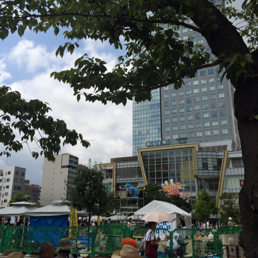 f:id:green_capybara8:20150818214812j:image
