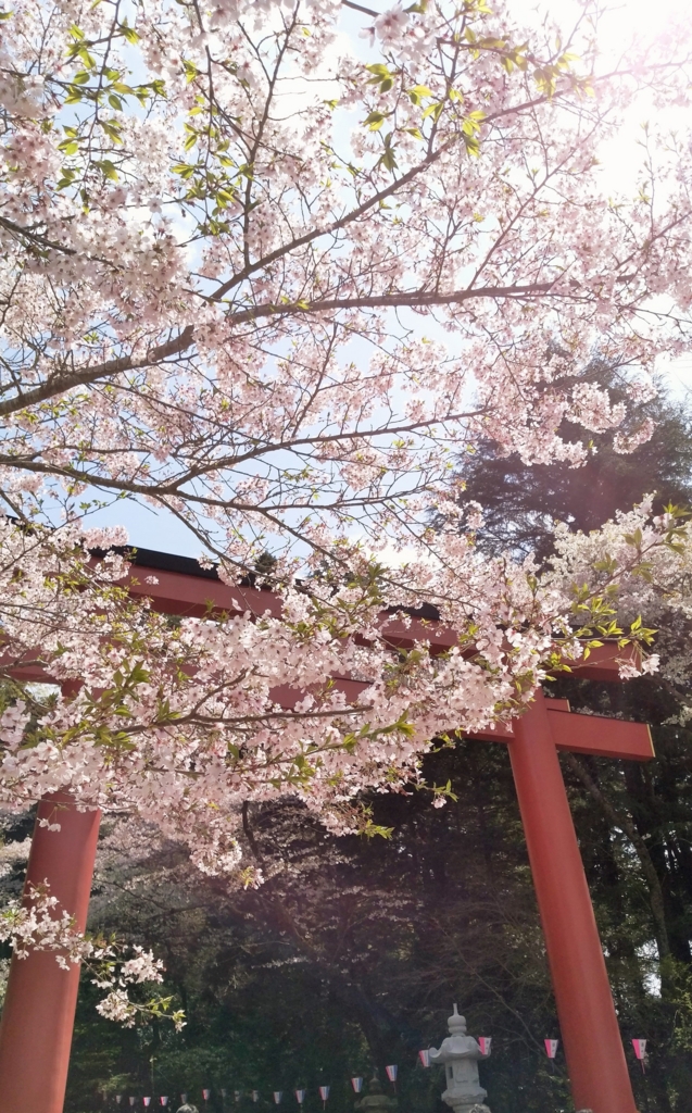 f:id:green_wind:20160410220835j:plain