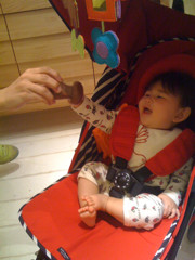 f:id:greenfuse:20100505195053j:image f:id:greenfuse:20100505195053j:image