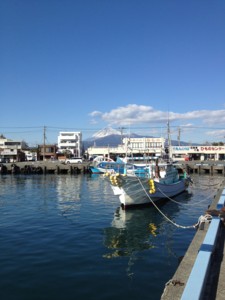 f:id:greenfuse:20120205184251j:image f:id:greenfuse:20120205184251j:image