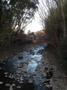 f:id:greenfuse:20120205184343j:image f:id:greenfuse:20120205184343j:image