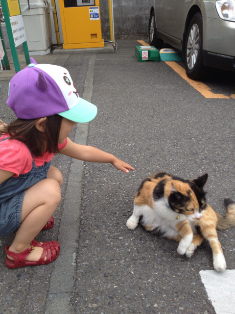 f:id:greenfuse:20130622181750j:plain f:id:greenfuse:20130622181750j:plain