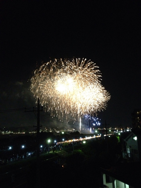 f:id:greenfuse:20130824202804j:plain f:id:greenfuse:20130824202804j:plain
