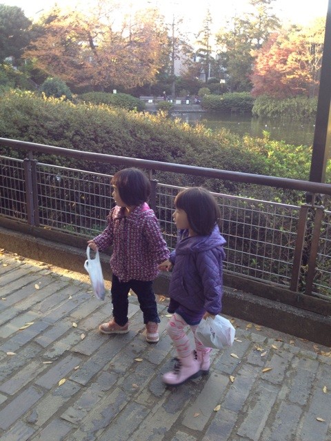 f:id:greenfuse:20131228171916j:plain f:id:greenfuse:20131228171916j:plain