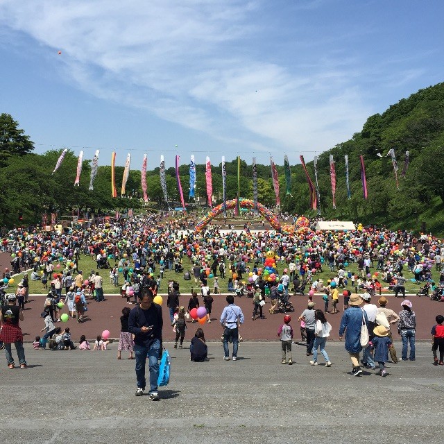 f:id:greenfuse:20150506100945j:image f:id:greenfuse:20150506100945j:image