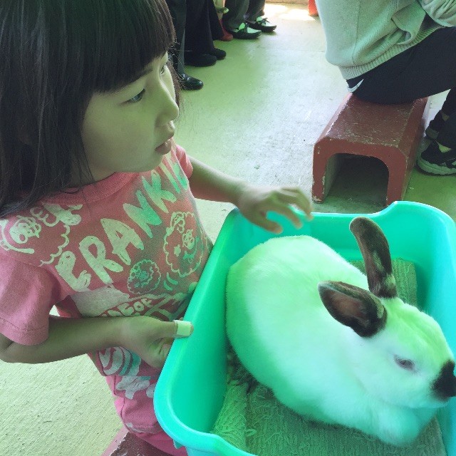 f:id:greenfuse:20150506101038j:image f:id:greenfuse:20150506101038j:image