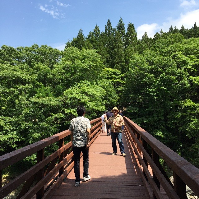 f:id:greenfuse:20150531214252j:image f:id:greenfuse:20150531214252j:image