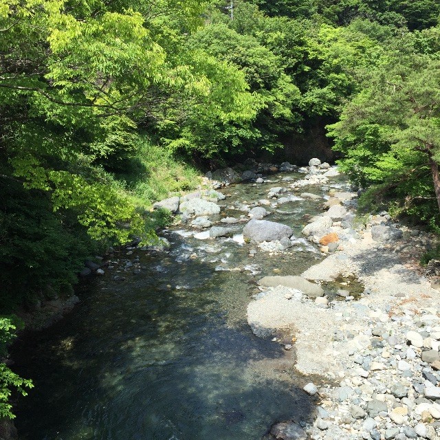 f:id:greenfuse:20150531214311j:image f:id:greenfuse:20150531214311j:image