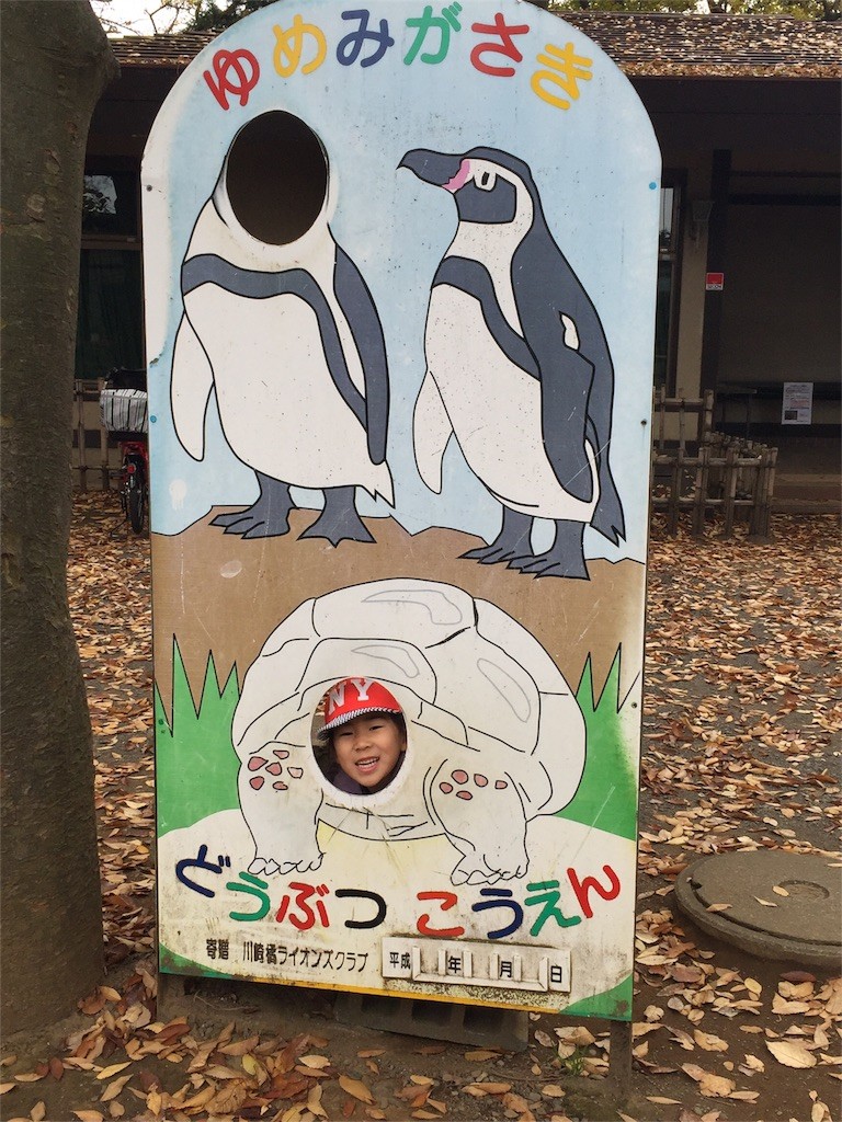 f:id:greenfuse:20151223140319j:image f:id:greenfuse:20151223140319j:image