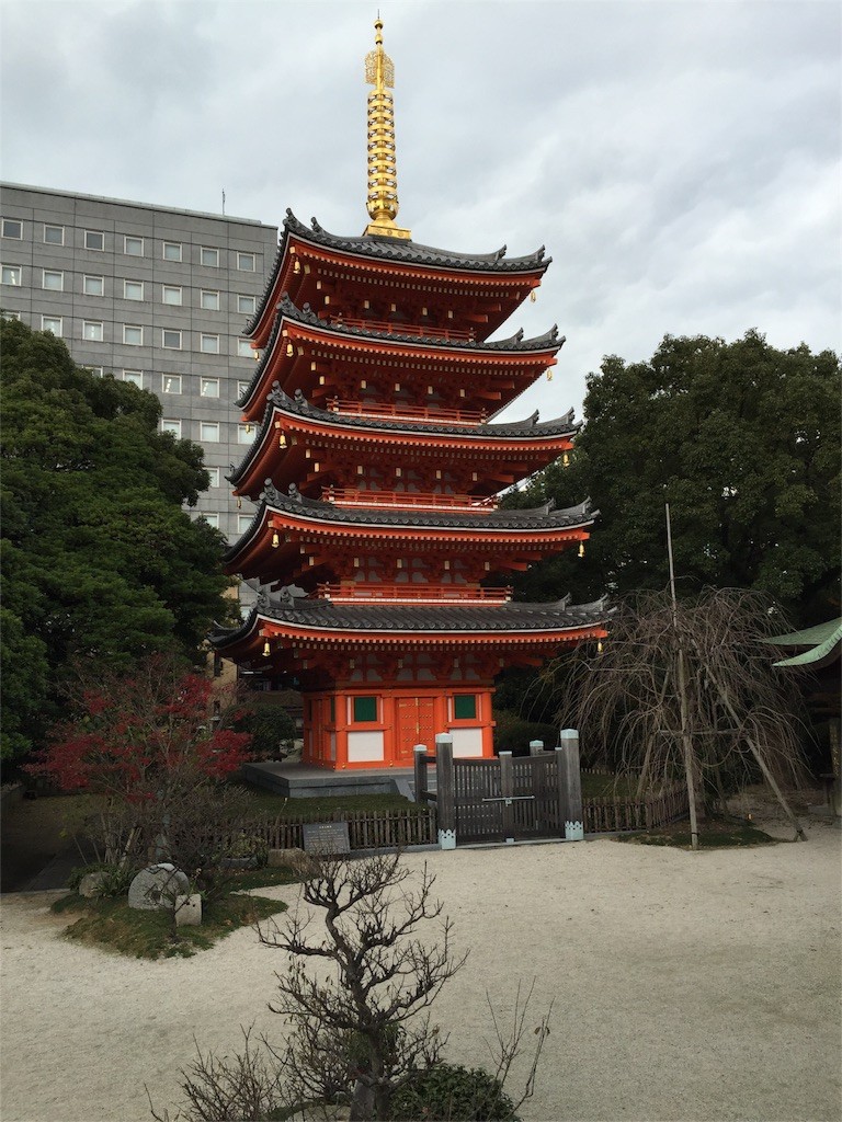 f:id:greenfuse:20151223140405j:image f:id:greenfuse:20151223140405j:image