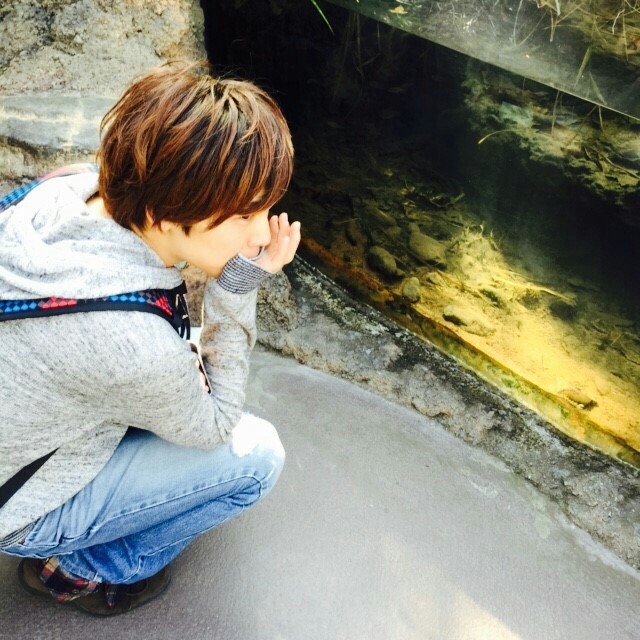 f:id:greengreceTakeyama:20160312000029j:image f:id:greengreceTakeyama:20160312000029j:image