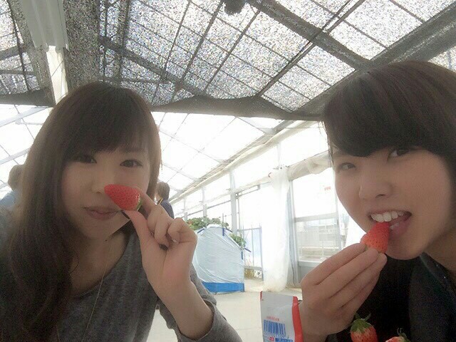 f:id:greengreceTakeyama:20160615234117j:image f:id:greengreceTakeyama:20160615234117j:image