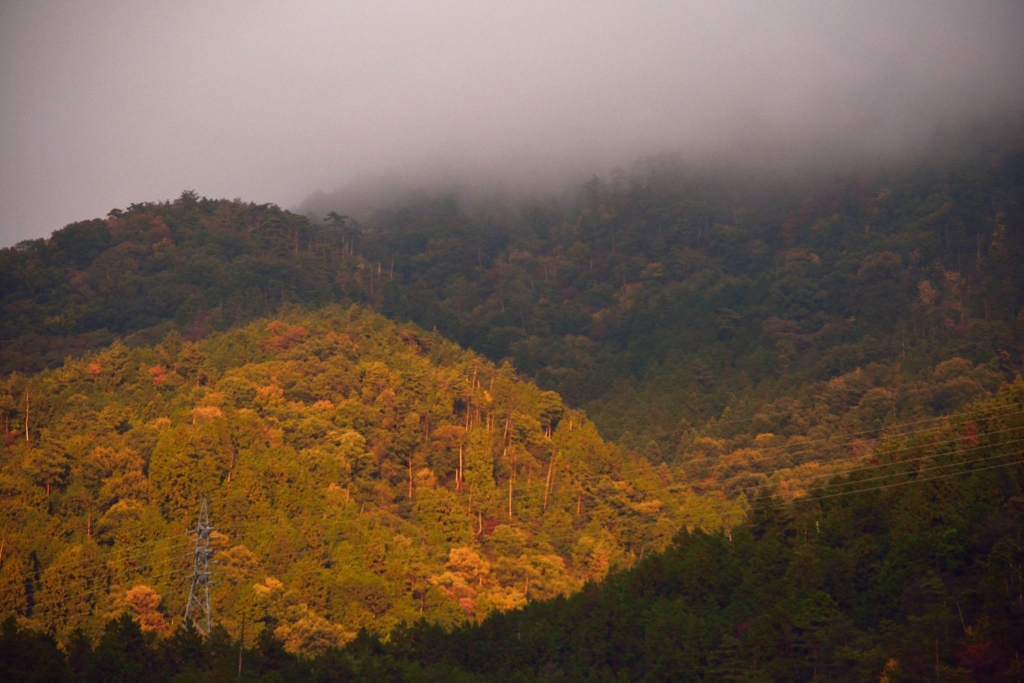 f:id:greengreengrass:20151103181355j:plain f:id:greengreengrass:20151103181355j:plain