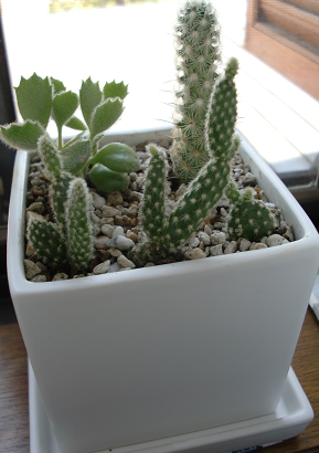f:id:greenlife5050:20130921132228p:plain f:id:greenlife5050:20130921132228p:plain