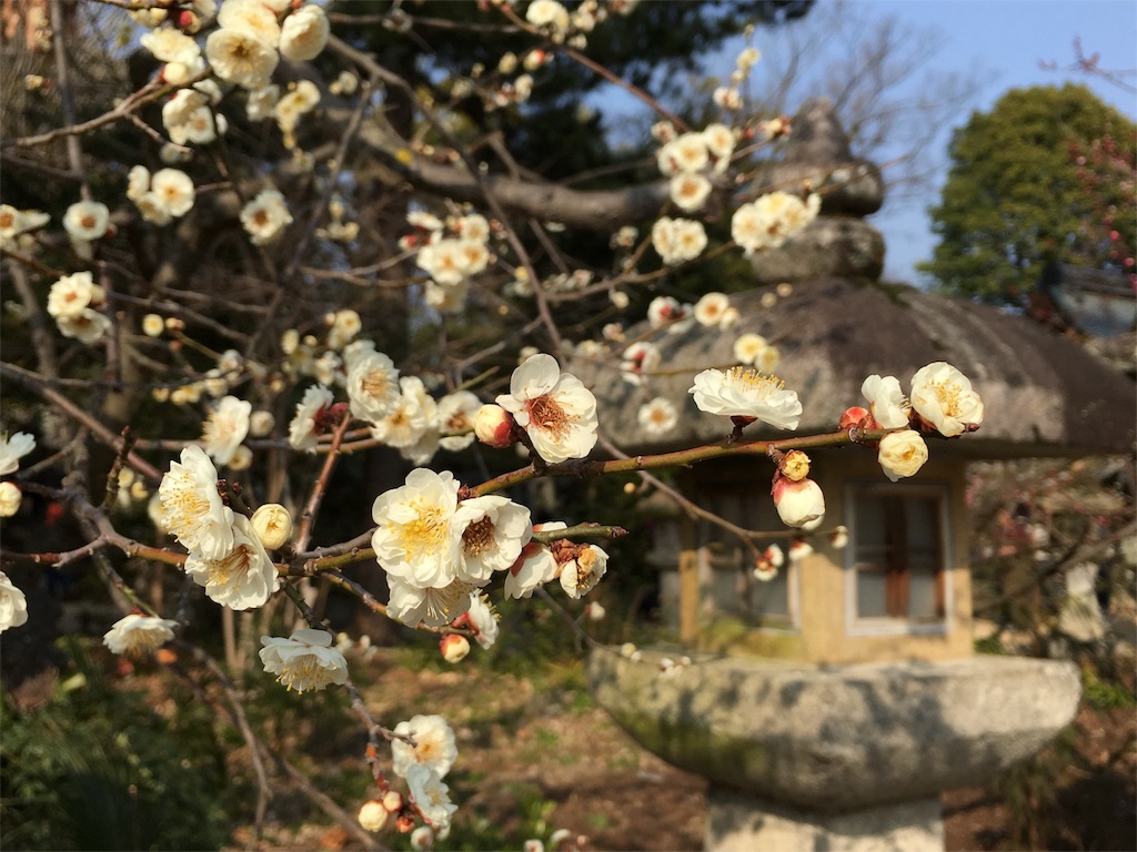 f:id:grgr_bnbn:20160228200636j:image f:id:grgr_bnbn:20160228200636j:image