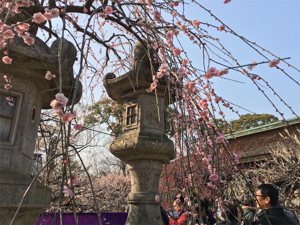 f:id:grgr_bnbn:20160228204131j:image f:id:grgr_bnbn:20160228204131j:image