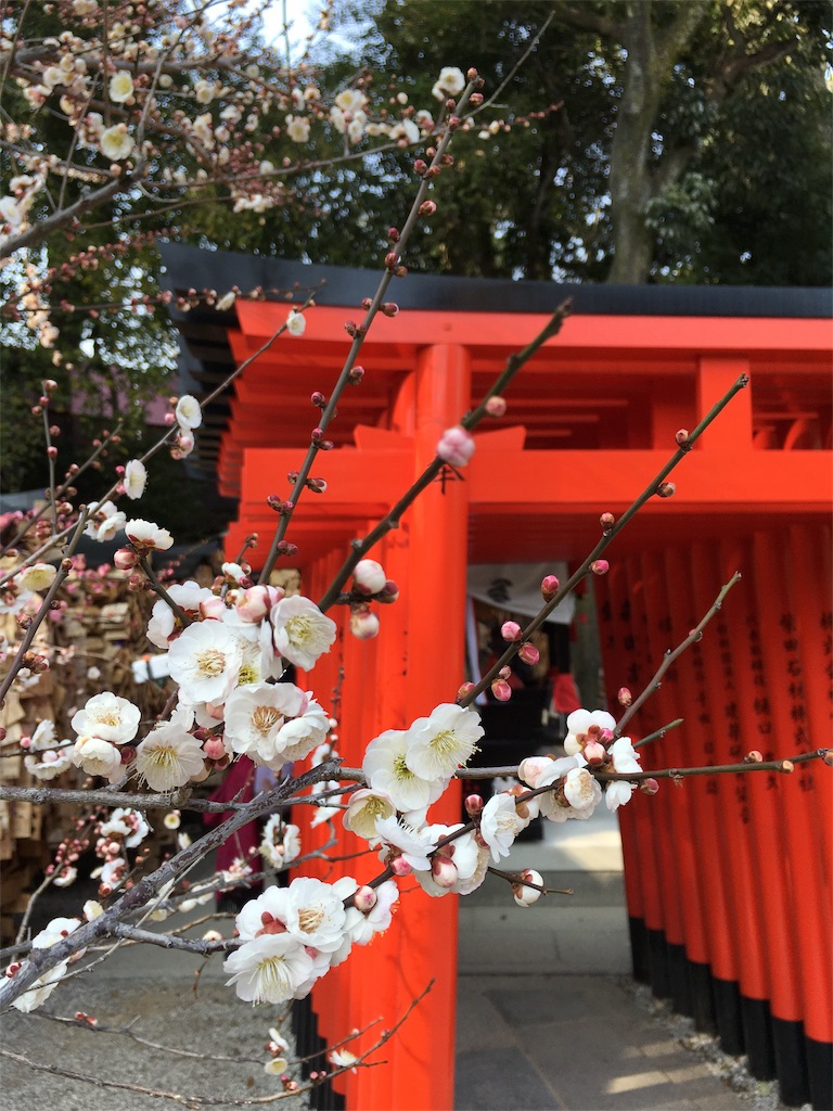 f:id:grgr_bnbn:20160228204143j:image f:id:grgr_bnbn:20160228204143j:image
