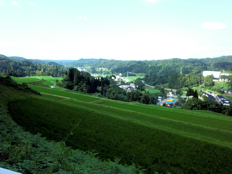 f:id:gt-toyama:20110713143753j:image:w360:left f:id:gt-toyama:20110713143753j:image:w360:left