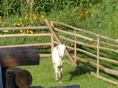 f:id:gt-toyama:20110907182638j:image f:id:gt-toyama:20110907182638j:image