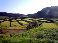 f:id:gt-toyama:20110907182639j:image f:id:gt-toyama:20110907182639j:image