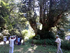 f:id:gt-toyama:20111006111127j:image f:id:gt-toyama:20111006111127j:image