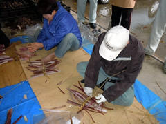 f:id:gt-toyama:20111019184103j:image f:id:gt-toyama:20111019184103j:image