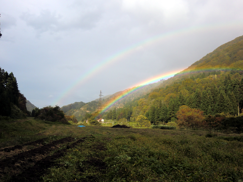 f:id:gt-toyama:20111031144437j:image:w360 f:id:gt-toyama:20111031144437j:image:w360