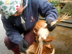 f:id:gt-toyama:20111031144441j:image f:id:gt-toyama:20111031144441j:image