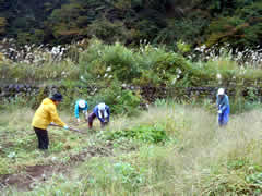 f:id:gt-toyama:20111031144442j:image f:id:gt-toyama:20111031144442j:image
