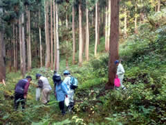 f:id:gt-toyama:20111031144445j:image f:id:gt-toyama:20111031144445j:image