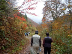 f:id:gt-toyama:20111031144446j:image f:id:gt-toyama:20111031144446j:image