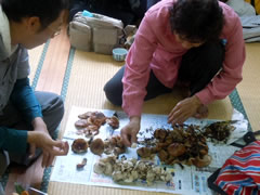 f:id:gt-toyama:20111031144447j:image f:id:gt-toyama:20111031144447j:image