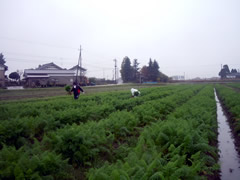 f:id:gt-toyama:20111108161239j:image f:id:gt-toyama:20111108161239j:image