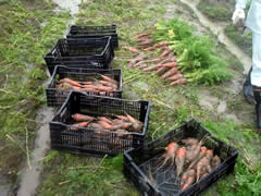 f:id:gt-toyama:20111108161241j:image f:id:gt-toyama:20111108161241j:image