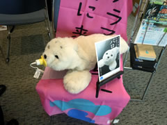 f:id:gt-toyama:20111116151635j:image f:id:gt-toyama:20111116151635j:image
