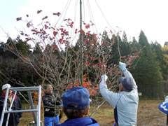 f:id:gt-toyama:20111206150039j:image f:id:gt-toyama:20111206150039j:image