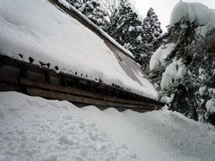 f:id:gt-toyama:20120116150120j:image f:id:gt-toyama:20120116150120j:image