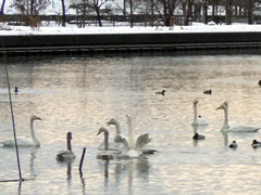 f:id:gt-toyama:20120125120545j:image f:id:gt-toyama:20120125120545j:image