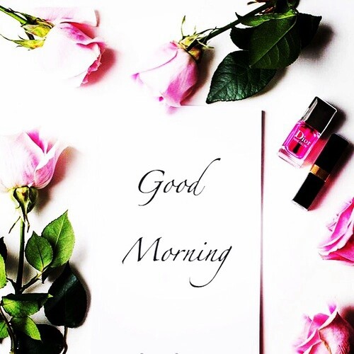 f:id:gtbb250:20160227000839j:image f:id:gtbb250:20160227000839j:image