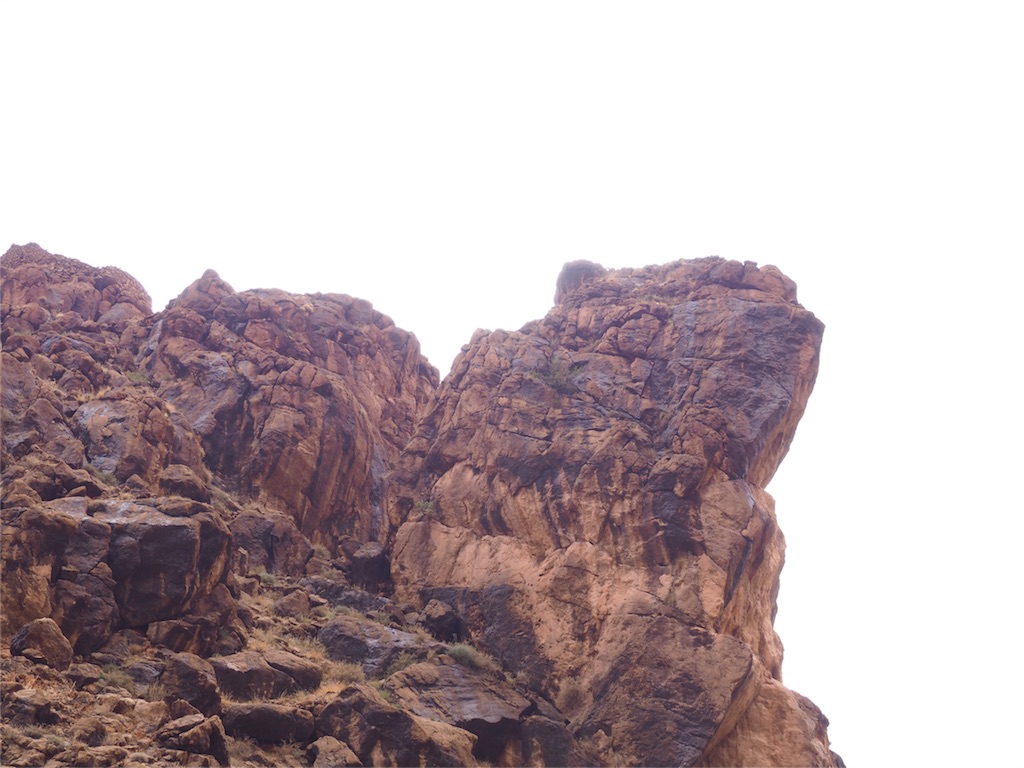 f:id:gumigumi0107:20151113234644j:image f:id:gumigumi0107:20151113234644j:image