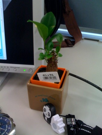 f:id:gungle:20090420094745j:image f:id:gungle:20090420094745j:image