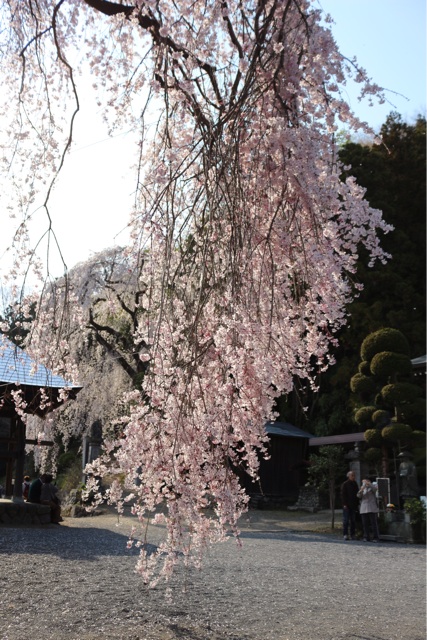 f:id:gununun:20150405005723j:plain f:id:gununun:20150405005723j:plain