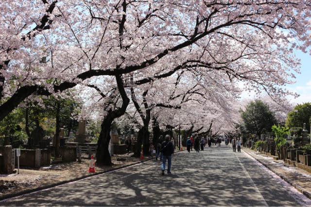 f:id:gununun:20150405010219j:plain f:id:gununun:20150405010219j:plain