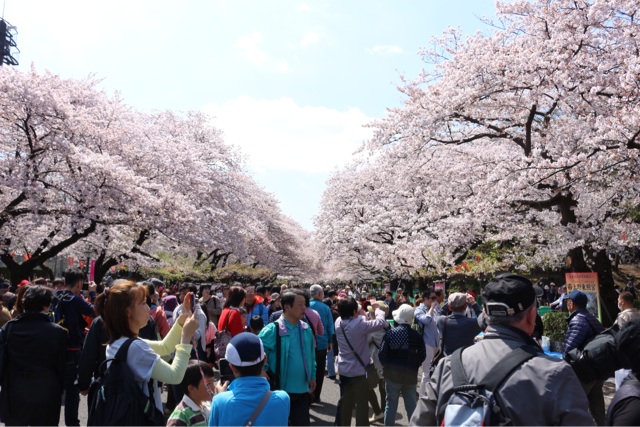 f:id:gununun:20150405010439j:plain f:id:gununun:20150405010439j:plain