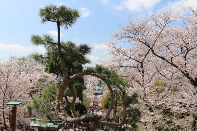 f:id:gununun:20150405010731j:plain f:id:gununun:20150405010731j:plain