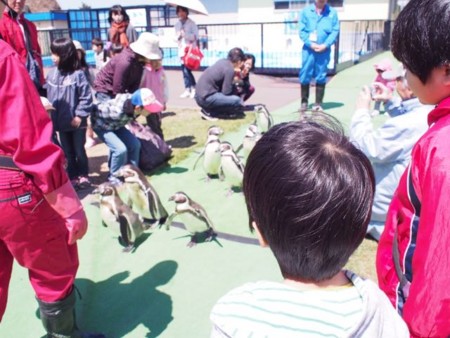 f:id:guropan:20140429110306j:plain f:id:guropan:20140429110306j:plain