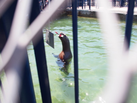 f:id:guropan:20140429114524j:plain f:id:guropan:20140429114524j:plain