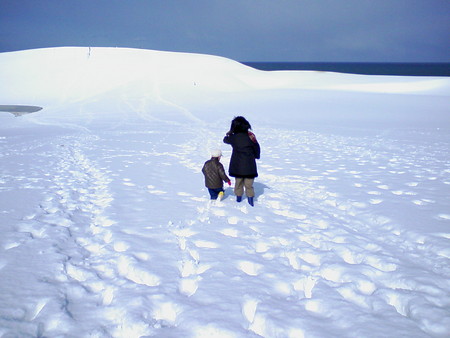 f:id:gyogyo6:20080218102536j:image f:id:gyogyo6:20080218102536j:image