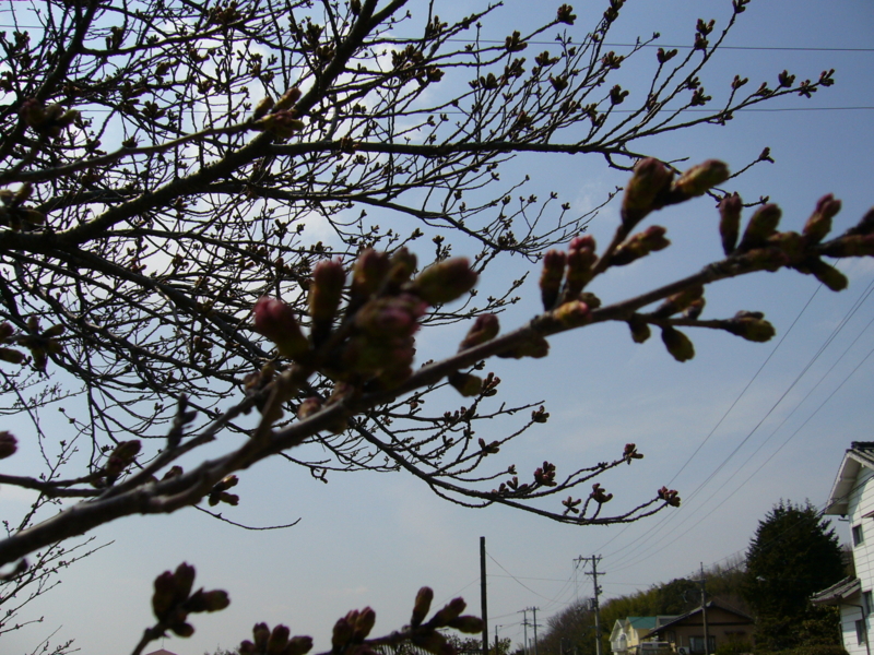 f:id:h100424:20120330134457j:plain f:id:h100424:20120330134457j:plain