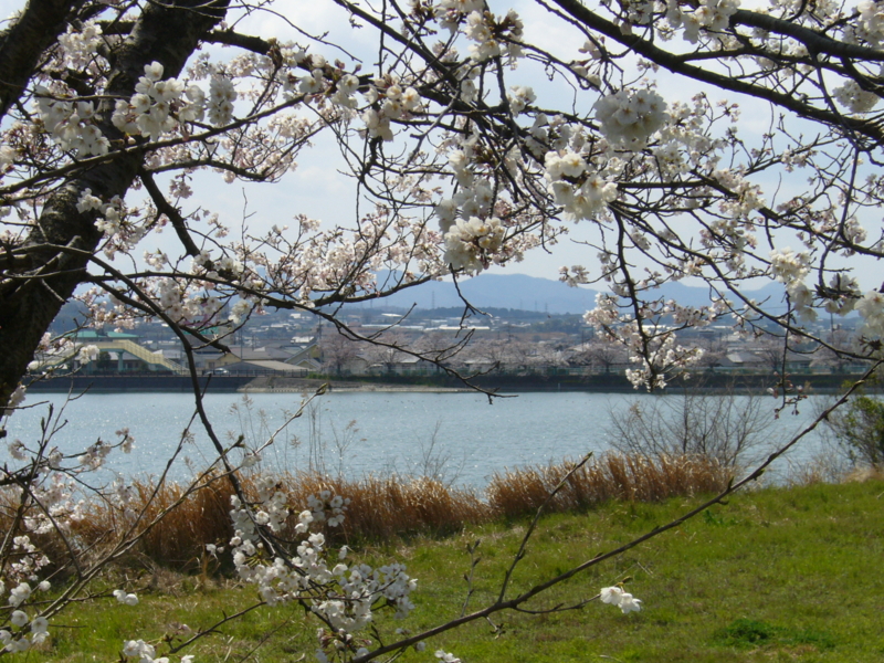 f:id:h100424:20120407130801j:plain f:id:h100424:20120407130801j:plain